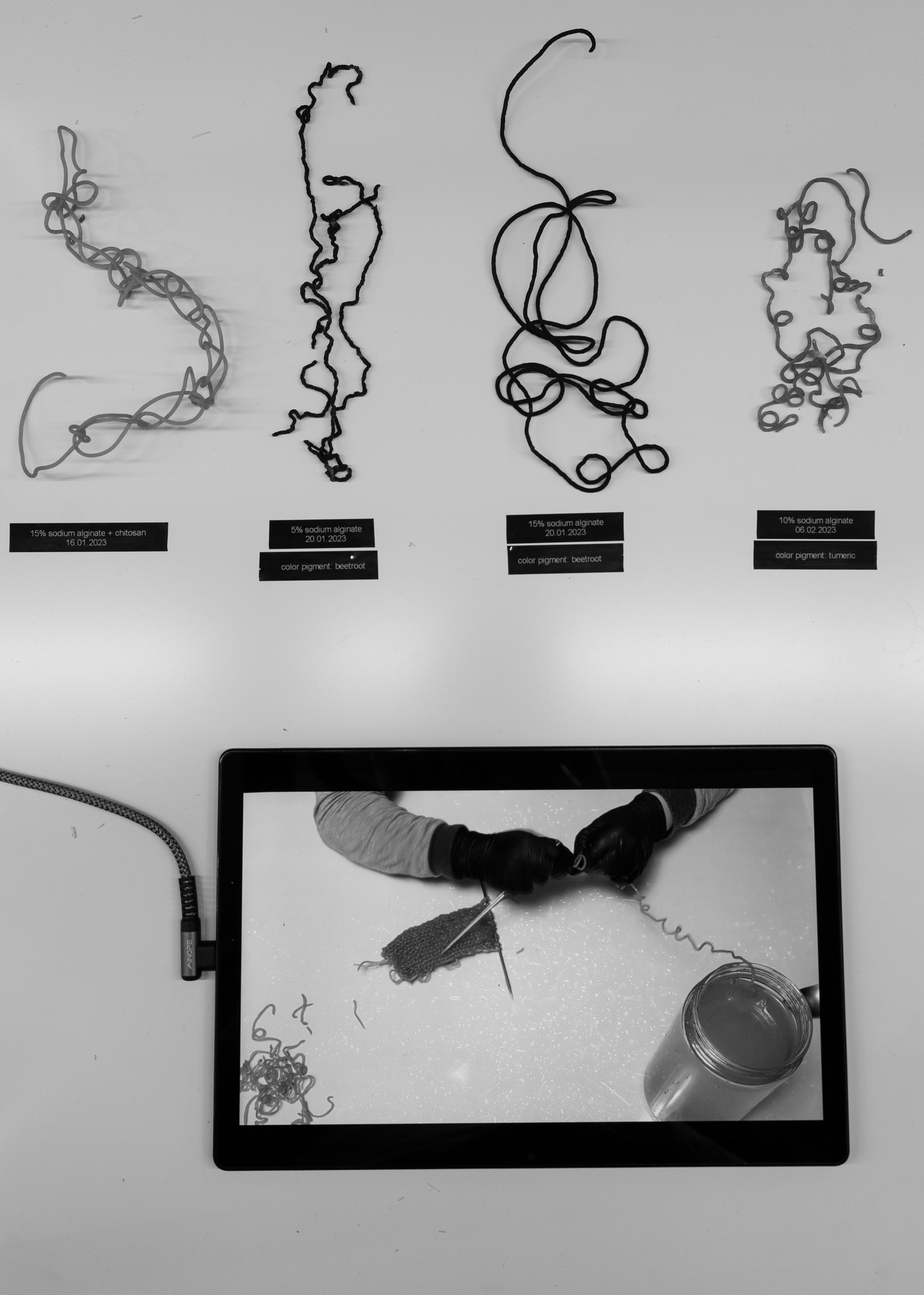Portfolio Project